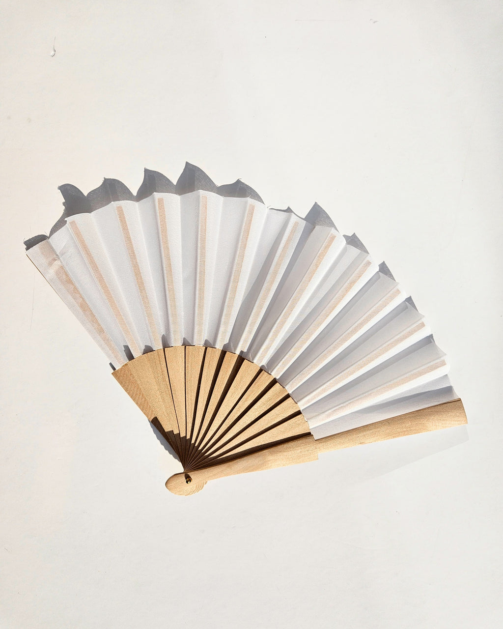 The Solis: Summer Exclusive