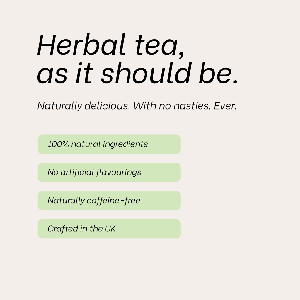 06 Peach Lemonade Tea | Nectar & Leaf