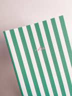 Striped Notebook with Contrast Color: Powder / A5