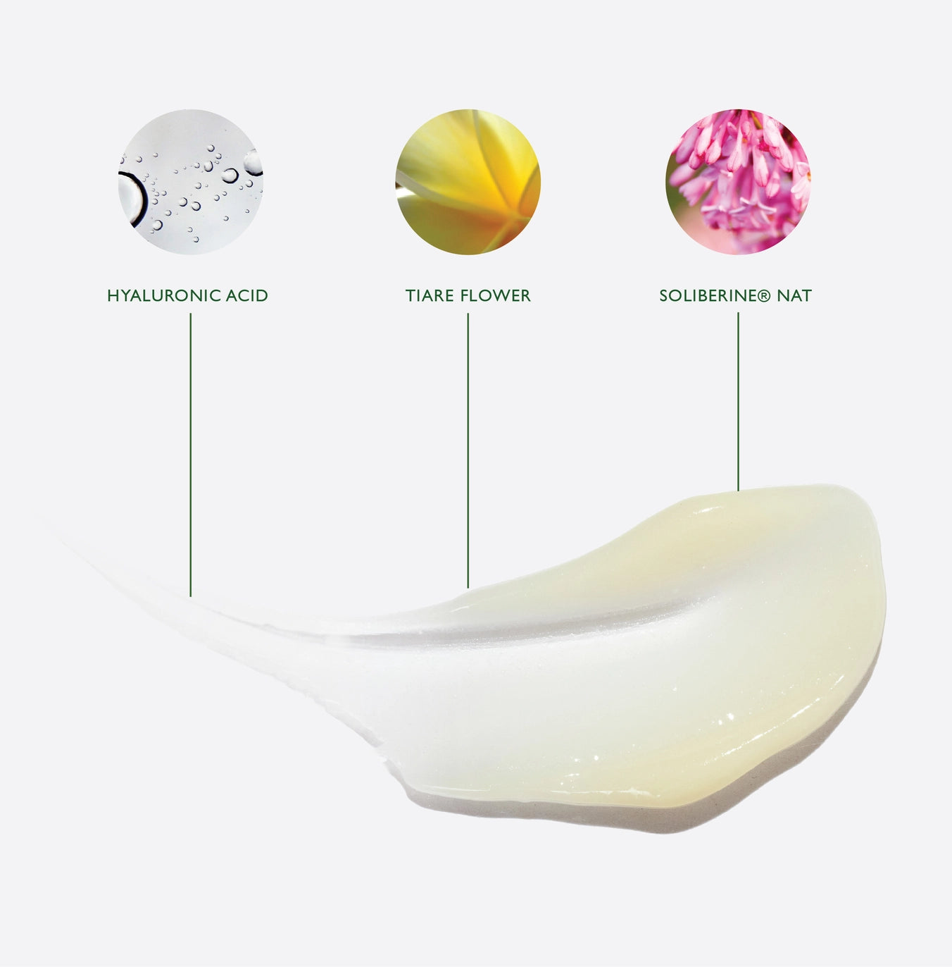 Moisturiser | Heath