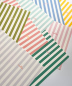 Striped Notebook with Contrast Color: Pale Green / A5