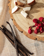 Coconut Bloom Neutral Core Conscious Candle | Chickidee
